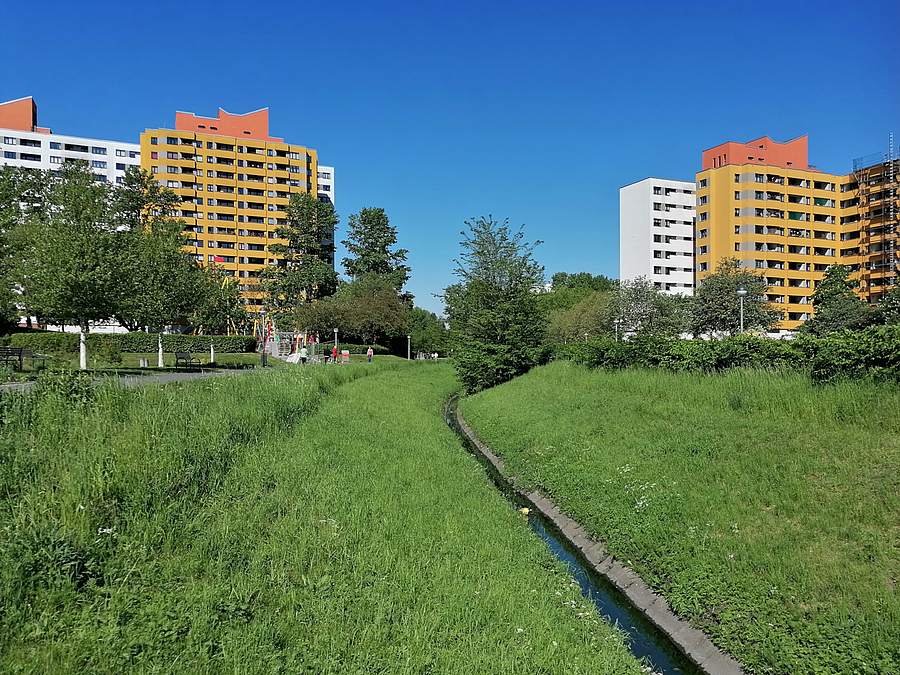 Weiße und gelbe Hochhäuser mit Dachstudios, schmaler Graben mit Wasser, grüne Außenanlagen