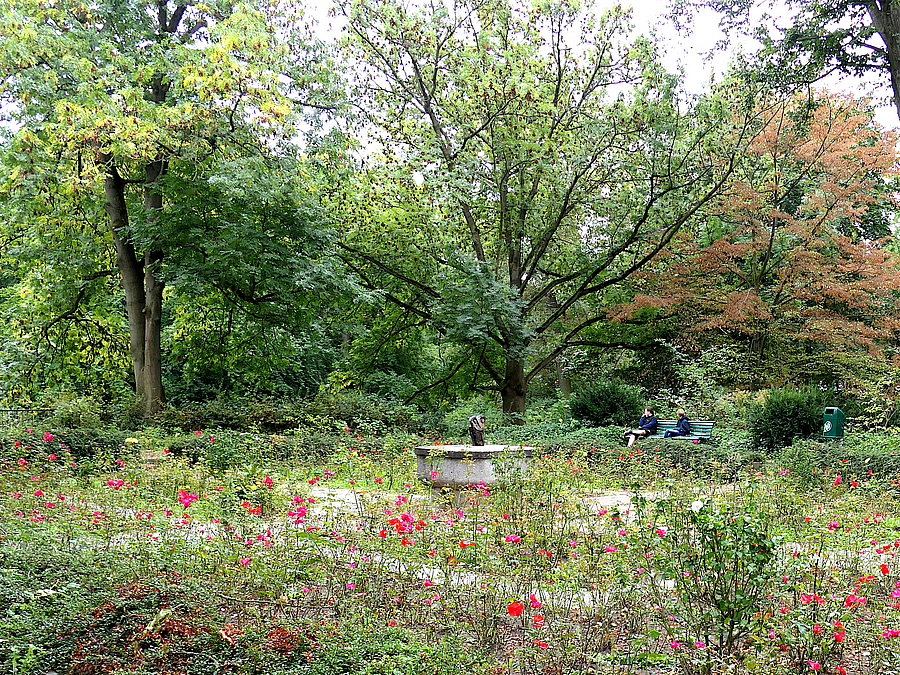 Rechteckig mit Wegen strukturierte Parkfläche mit Rosen und einer Schale im Zentrum, dahinter Bäume