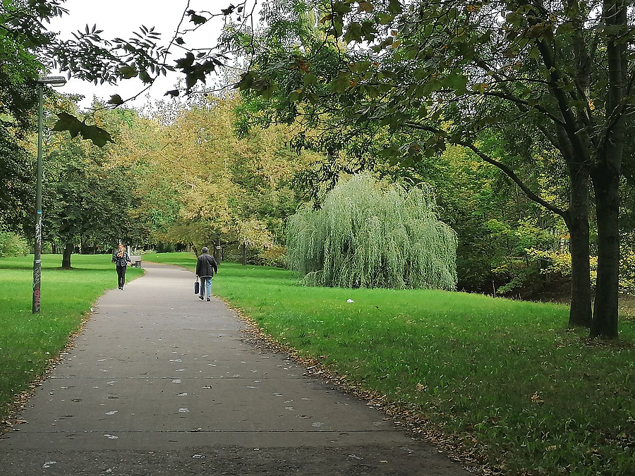 Asphaltierter Weg im Park