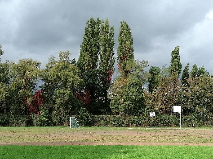 Fußballtor und Basketballständer vor Bäumen, Platz teilweise bewachsen