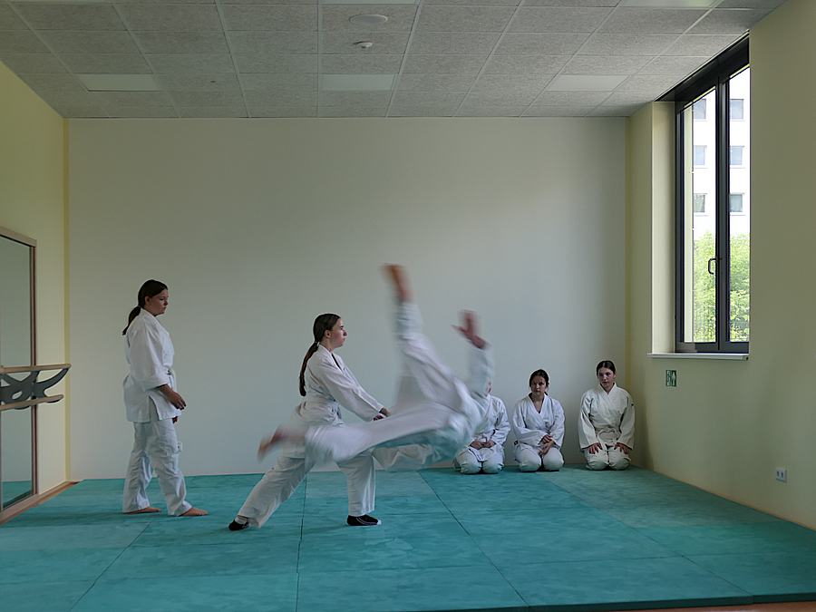 Aikido-Training