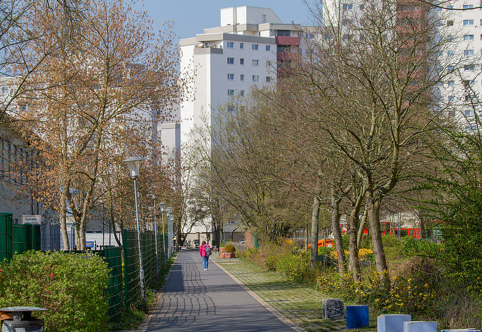 Asphaltierter Weg zwischen Bäumen im Frühjahr, im Hintergrund Hochhäuser